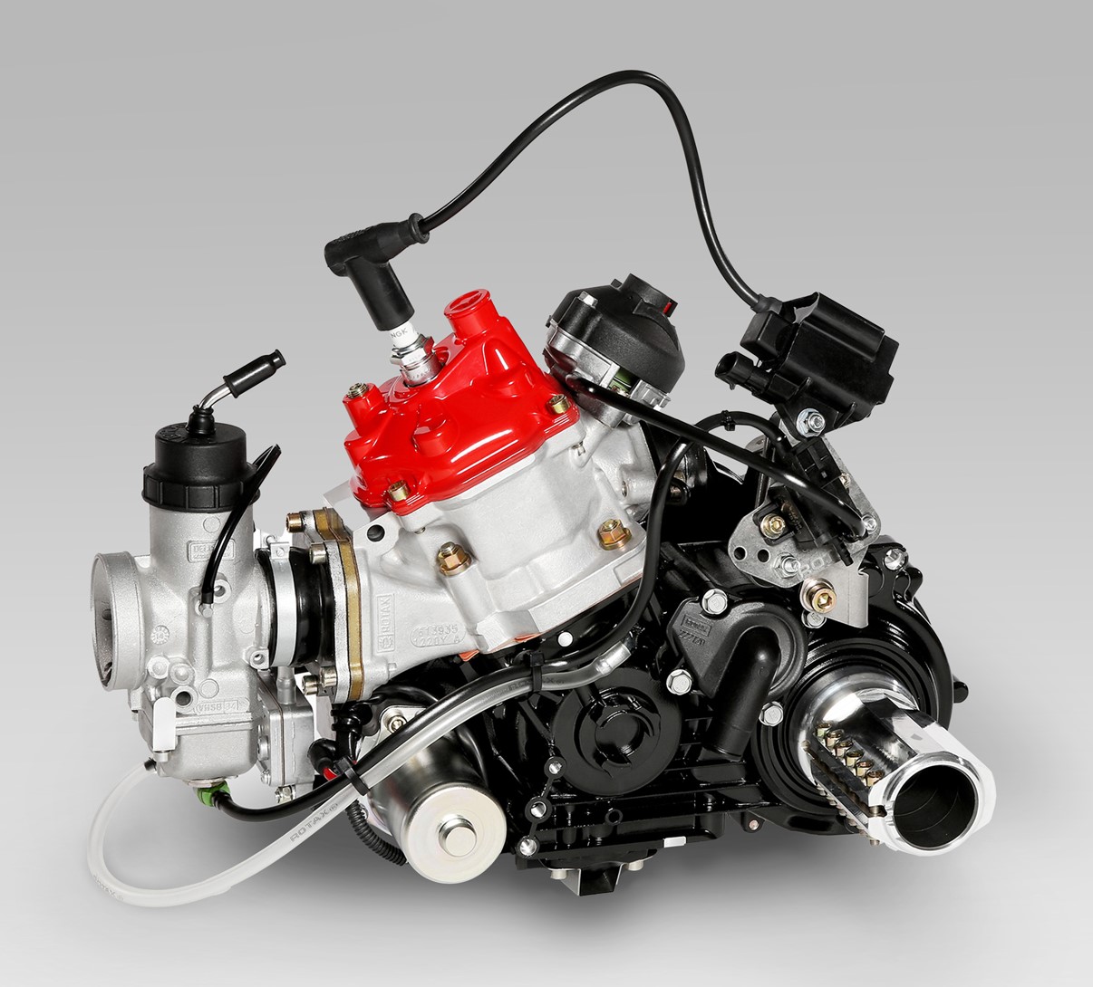 Motor ROTAX MAX DD2 EVO 3D, komplett