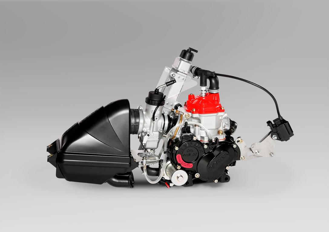 Motor ROTAX MICRO MAX EVO 20